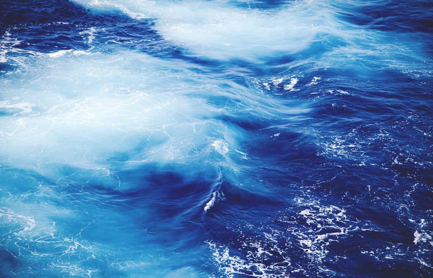 Portrait of Dr. Eleanor Vance